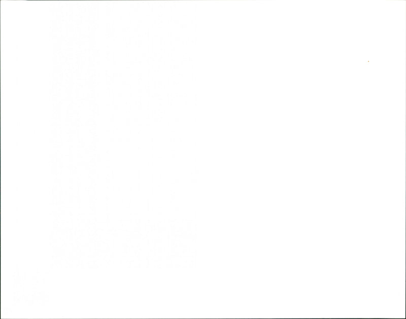 Will Self - Vintage Photograph