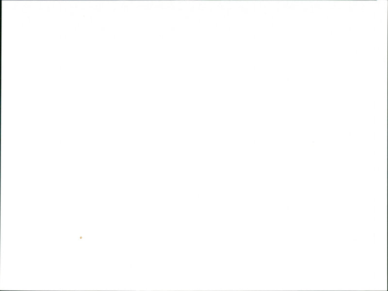 Will Self - Vintage Photograph