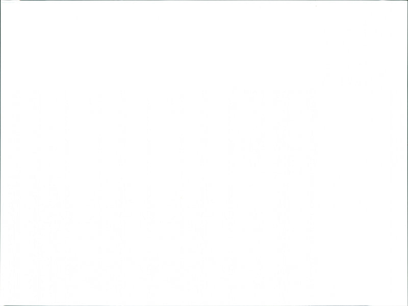 Queen Mother's birthday - Vintage Photograph