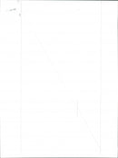 David Selbourne - Vintage Photograph