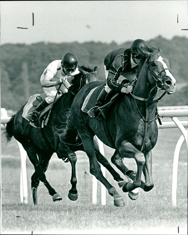 Jockey Richard Quinn rode Snurge - Vintage Photograph