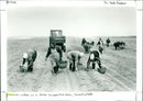 Soviet Co-operative Farm - Vintage Photograph