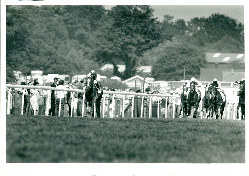 Horse Racing, Friday, 23 June 1989 - Vintage Photograph