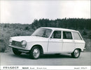 Peugeot 204 Break Grand-luxe, Model 1970/71 - Vintage Photograph