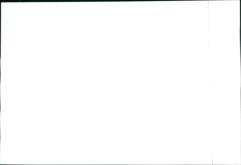 Isuzu Piazza - Vintage Photograph