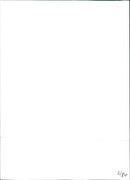 Fiat Uno - Vintage Photograph