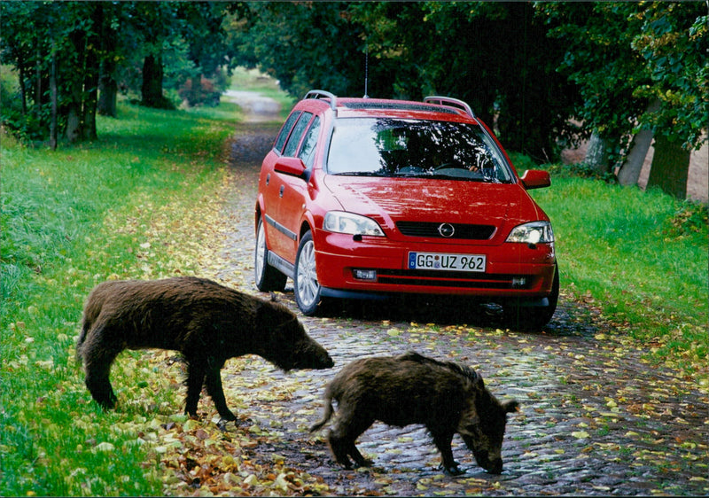 Opel Astra 2001 - Vintage Photograph