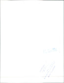 Renault 9 GTX - Vintage Photograph