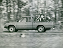 Datsun Pick-up - Vintage Photograph