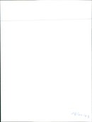 Peugeot 306 - Vintage Photograph