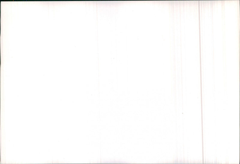 Mercedes-Benz 190 D 2.5 Turbo, 300 D Turbo and 300 TD Turbo - Vintage Photograph