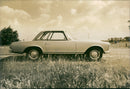 Benz - Vintage Photograph