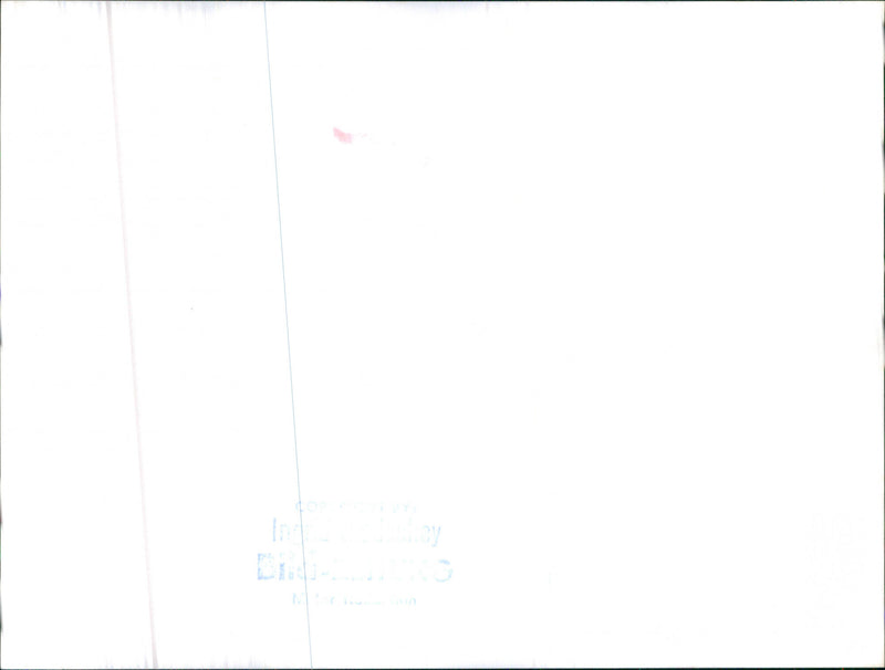 Mercedes Station Wagon - Vintage Photograph