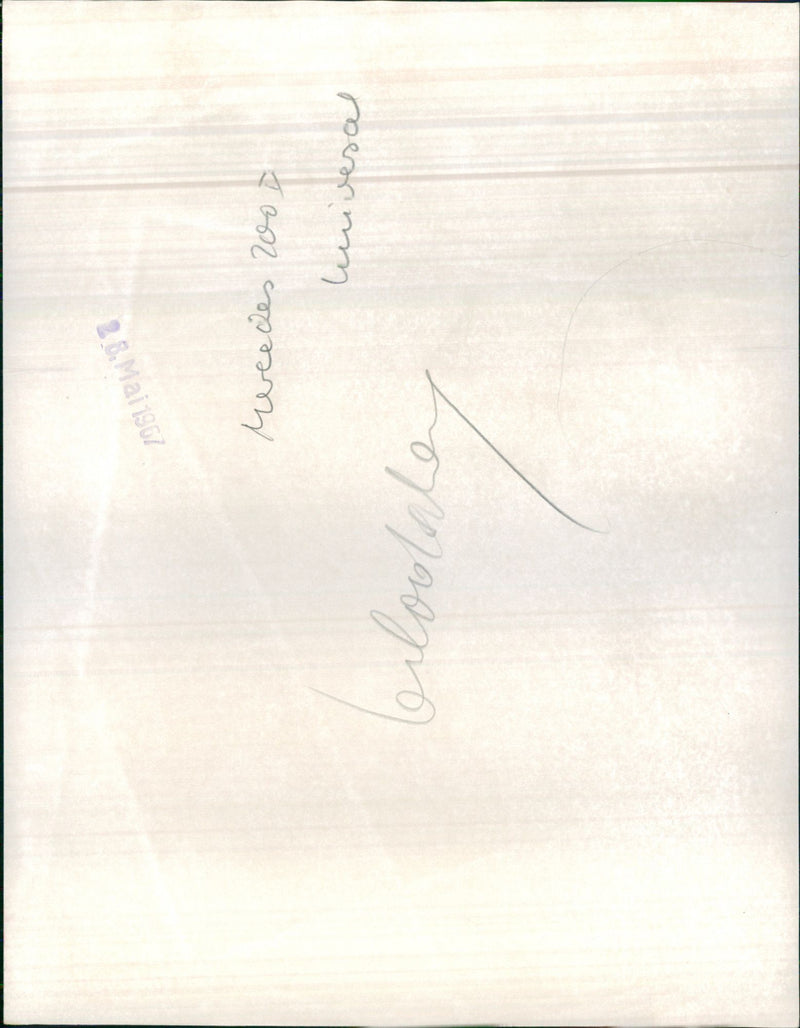 Mercedes Benz 200D Universal - Vintage Photograph