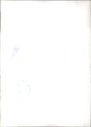 Volkswagen Beetle Convertible - Vintage Photograph