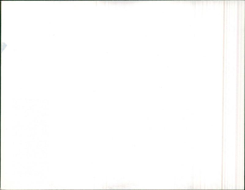 Mercedes Benz W123 280 - Vintage Photograph