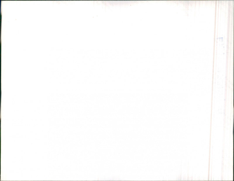 Mercedes Benz W123 280 - Vintage Photograph