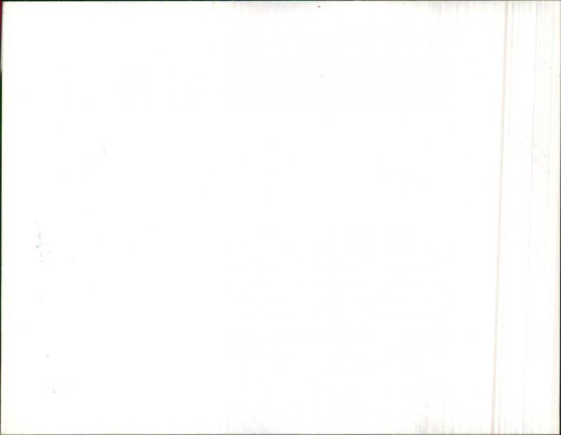 Mercedes Benz W123 280 - Vintage Photograph