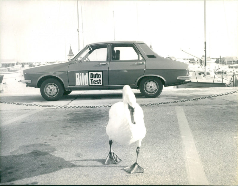 Renault - Vintage Photograph