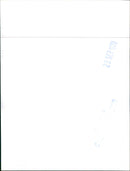 Renault 20 TS - Vintage Photograph