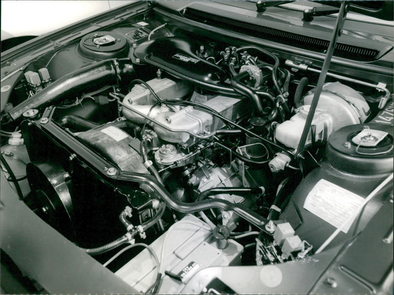 Peugeot 604 SL V6 - Vintage Photograph