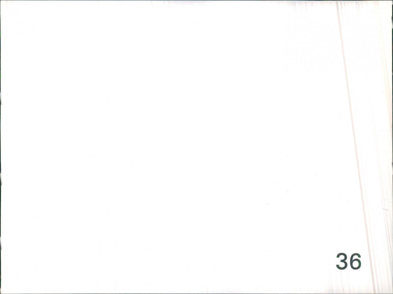 Audi 80 Quattro - Vintage Photograph