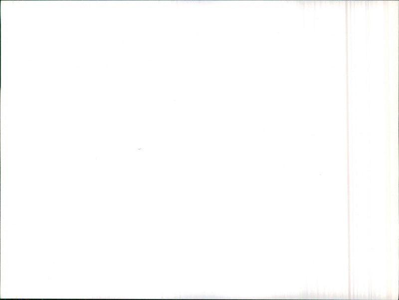 Audi - Vintage Photograph