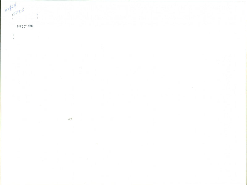 Turkeys - Vintage Photograph