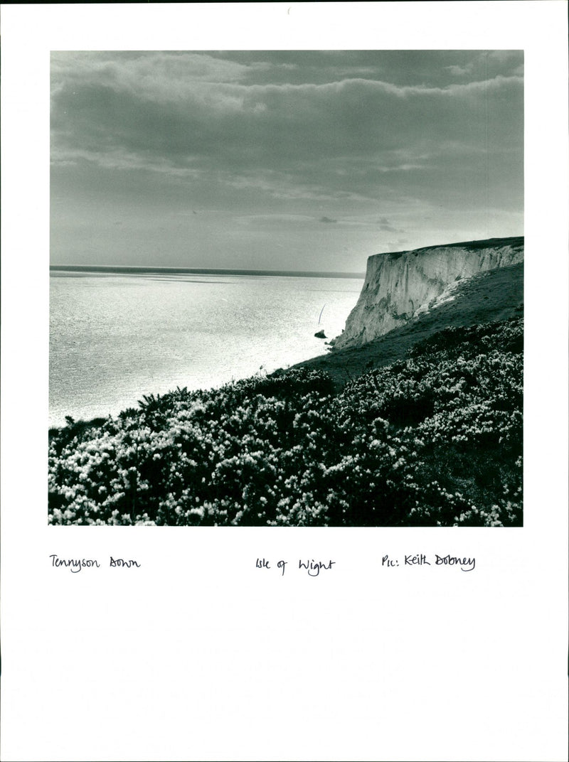 Tennyson Down - Vintage Photograph