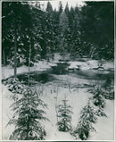 Winter photography by Ellen Dahlberg - Vintage Photograph