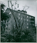 Autumn photography by Ellen Dahlberg - Vintage Photograph