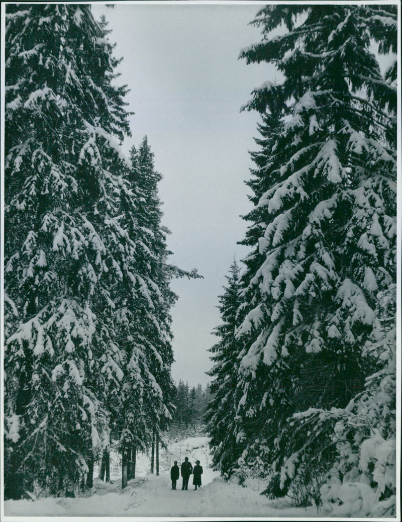 Winter photography by Ellen Dahlberg - Vintage Photograph