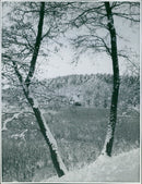 Winter photography by Ellen Dahlberg - Vintage Photograph