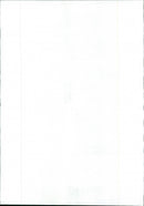 Policeman Displays the Rifle - Vintage Photograph