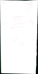 Zulfikar Ali Bhutto - Vintage Photograph