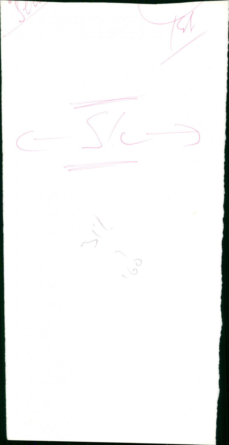 Zulfikar Ali Bhutto - Vintage Photograph