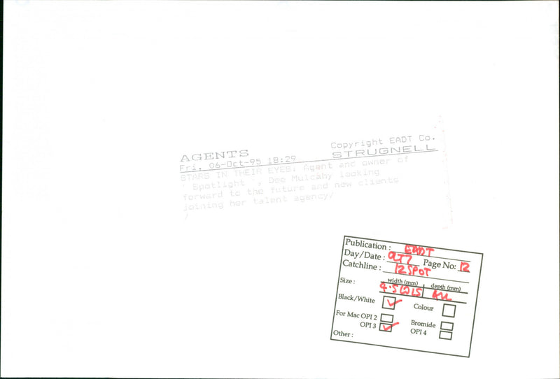 BLACK WHITE MODEL - Vintage Photograph