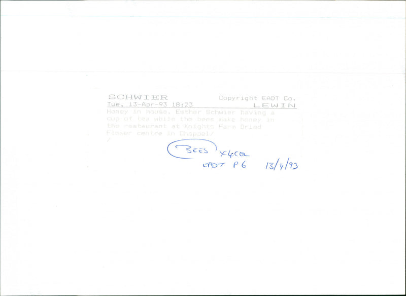 Esther Schwier - Vintage Photograph