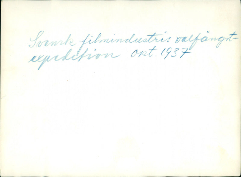 1957 VAID PETITION INDUSTRY FRENCH FILM EVIL - Vintage Photograph