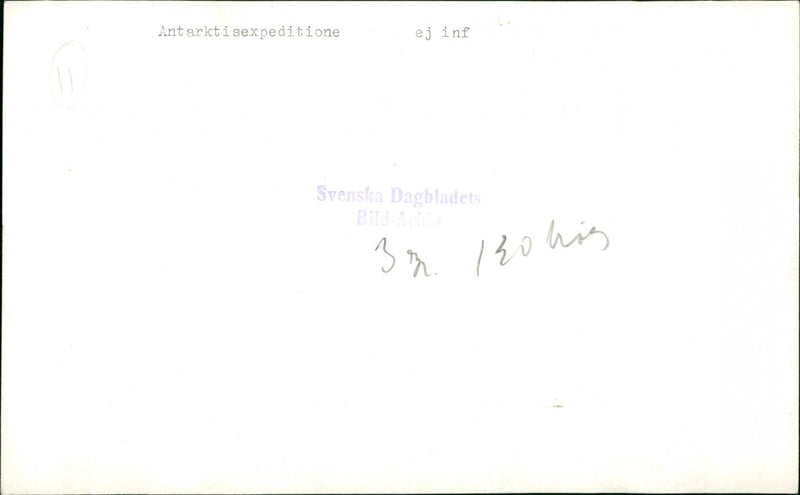 ANTARCTIC PICTURE NOT HIS EXPEDITION INF - Vintage Photograph