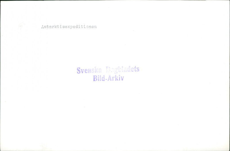 SVENSKA ANTARCTIC PICTURE ARCHIVE EXPEDITION TROGBLADETS - Vintage Photograph