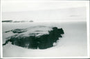 SVENSKA ANTARCTIC PICTURE ARCHIVE EXPEDITION TROGBLADETS - Vintage Photograph