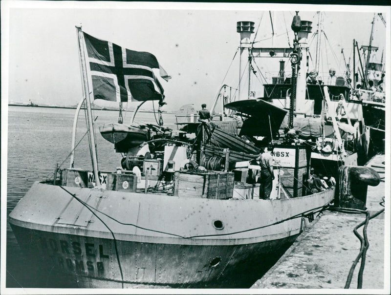 1950 COMPLIMENTS RAPHAEL DIVISION AIRCRAFT SHIP BRITISH QUEEN EXPEDITION - Vintage Photograph