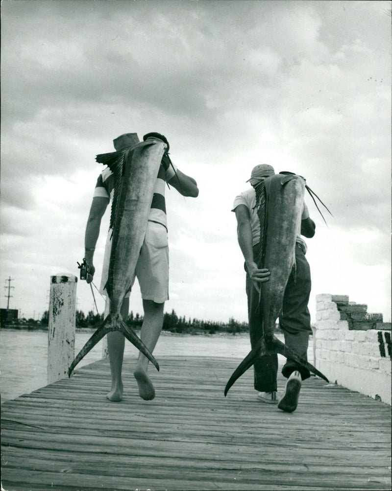 Fishermen with their big deep sea catch, caught with fly rod tackle - Vintage Photograph