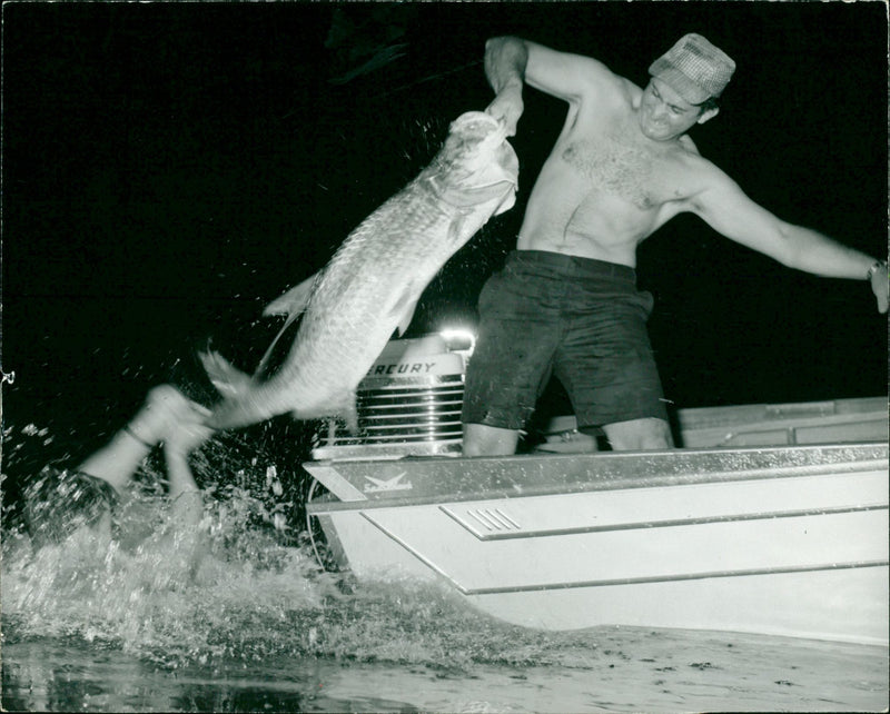 Tarpon harpooning at night - Vintage Photograph