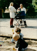 SWEDEN ANIMALS IMAGE DELIVERY CODE WIKLUND FOLLOWING ROTH - Vintage Photograph