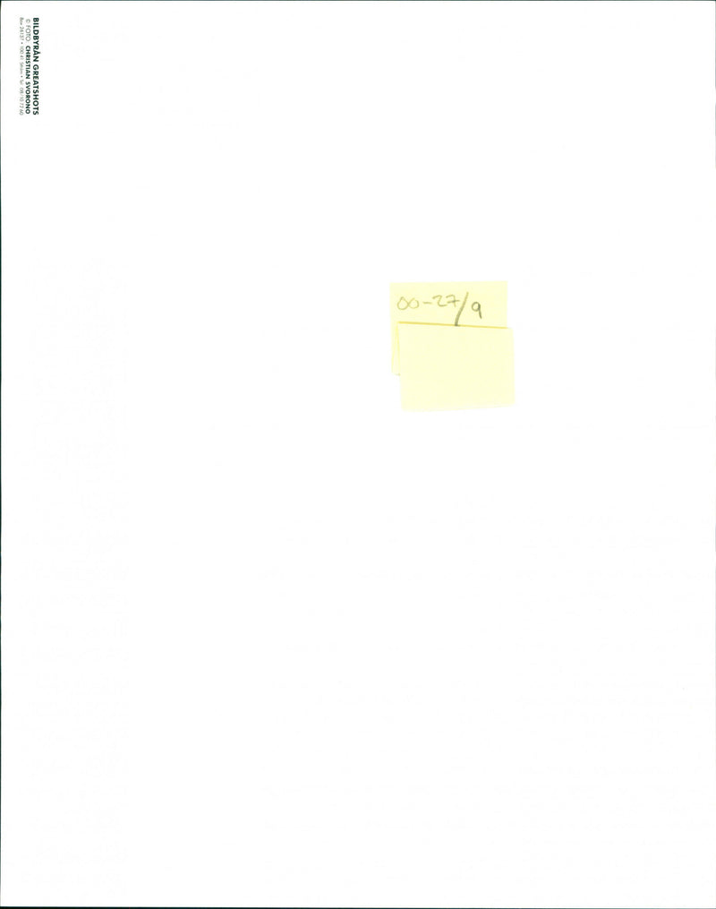 Green landscape with hills and cows - Vintage Photograph