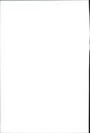 Yawning dog - Vintage Photograph