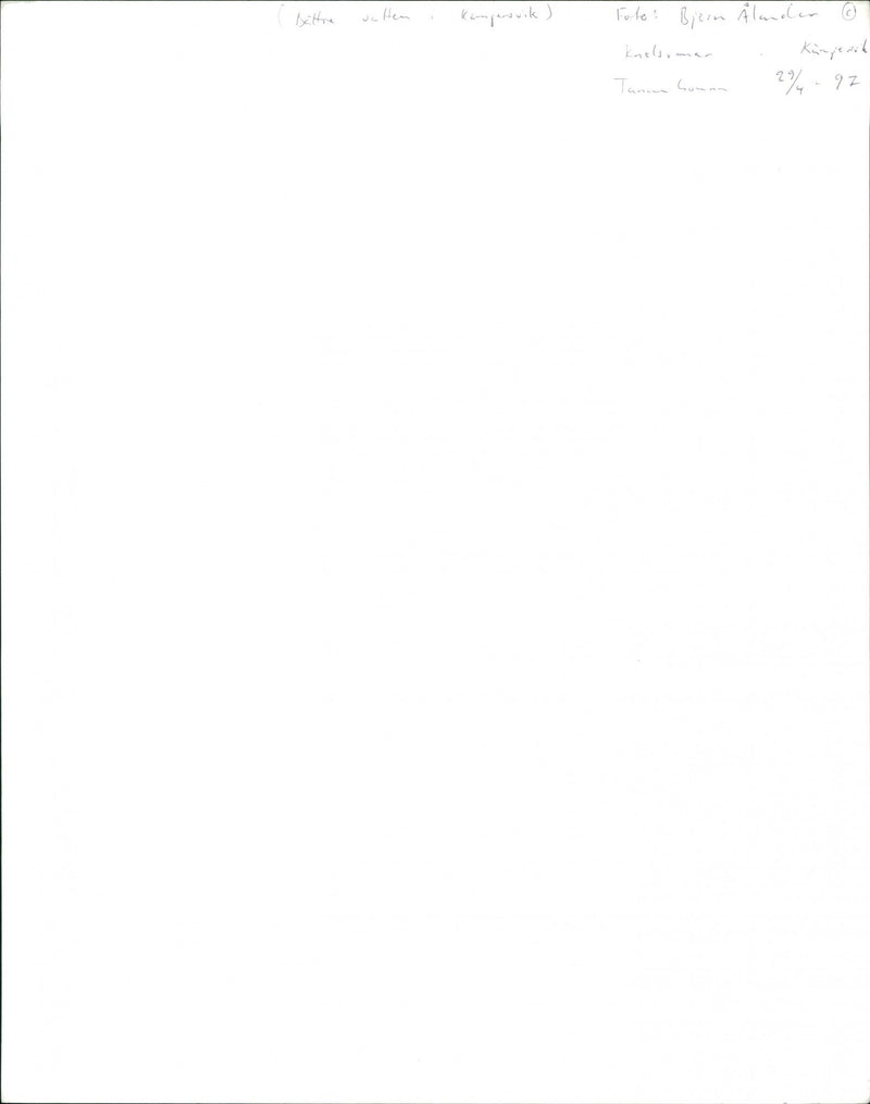 COMAN BJERN WATER KNALSUMAR KAMUSVIK KUNGEACH TAMM ALANDEN - Vintage Photograph