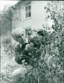 Ronald Blythe - Vintage Photograph